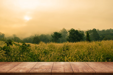 Field of grass with the sun in the morning and have a foreground, a beautiful wooden floor in Pai ,Thailand