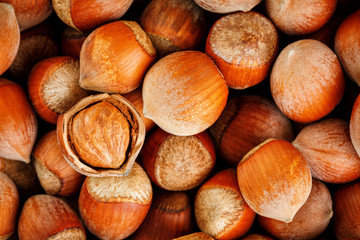 Hazelnuts. Stack of hazelnuts. Food background. Hazelnut background. Hazelnuts in shells background