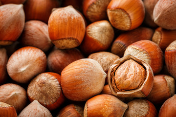 Hazelnuts. Stack of hazelnuts. Food background. Hazelnut background. Hazelnuts in shells background