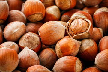 Hazelnuts. Stack of hazelnuts. Food background. Hazelnut background. Hazelnuts in shells background