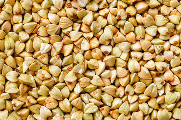 raw green buckwheat background, organic vegan food. Texture