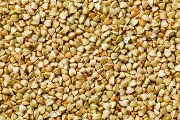 raw green buckwheat background, organic vegan food. Texture