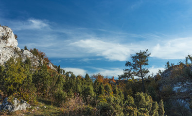 Golden Poland Autumn, mountain Zborow, Poland