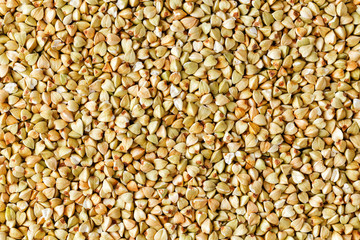 raw green buckwheat background, organic vegan food. Texture