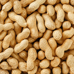 Uncleaned inshell peanuts. Peanuts, for background or textures.
