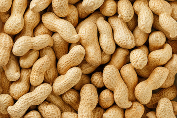 Uncleaned inshell peanuts. Peanuts, for background or textures.