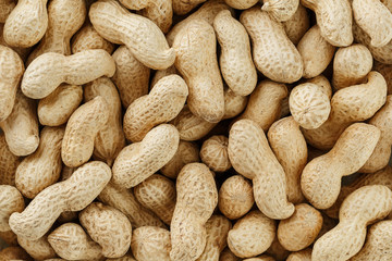 Uncleaned inshell peanuts. Peanuts, for background or textures.