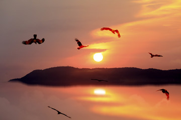 bird flying back home and sunset on the mountain with reflection on water 
