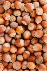 Dried unshelled hazelnuts seeds of Whole nuts as background