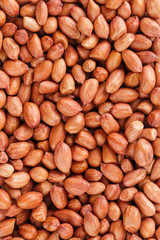 Peanuts, for background or textures. Uncleaned inshell peanuts.