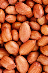 Obraz premium Peanuts, for background or textures. Uncleaned inshell peanuts.