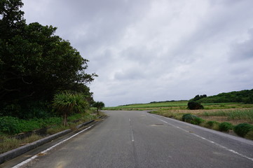 道路