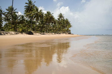 Tropical Brazilian beach. Beautiful untouched paradise Taipu de fora, Bahia.