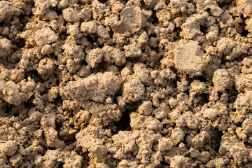Soil texture background