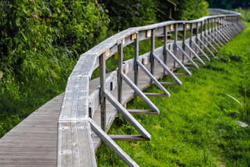 Fototapeta premium wooden bridge to go up