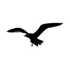 Flying Seagull Bird black silhouette isolated on white background.  illustration
