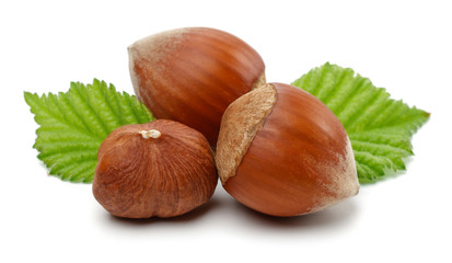 Hazelnut