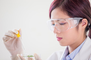 woman scientist take petri dish