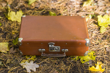 Retro suitcase standing on fallen leaves in autumn park