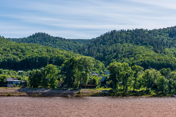 landscape with trees