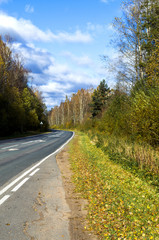 The road passes through the autumn forest