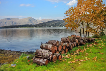 Loch Linnhe, Argyll, Higlands, Scotland, UK