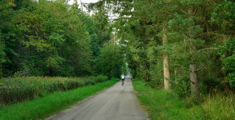 Fototapeta premium Man biking in the Perlacher Forst, panoramic view