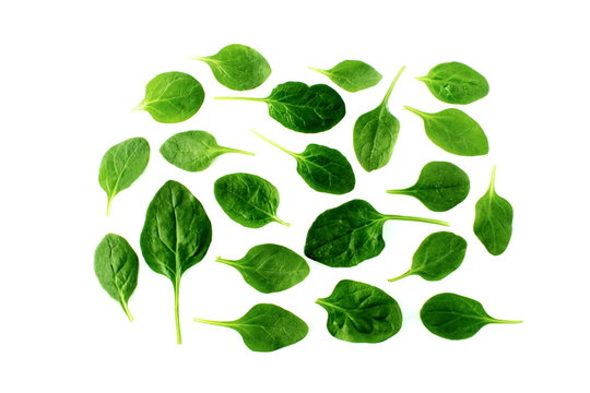 green spinach leaves isolated closeup on white background top view