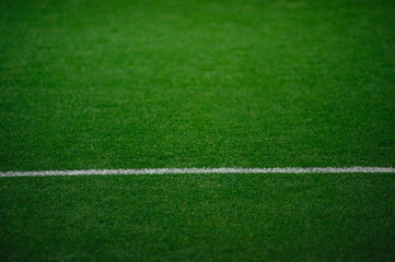 Obraz premium The football pitch and the line, training triangle, point. White stripe on the green soccer field.