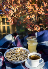 Tea with honey and russian bagels at plaid in colourful autumn village surroundings.