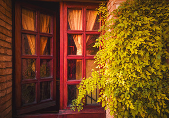 red window vine background decoration