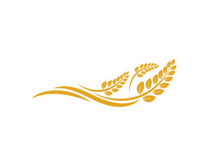 Vector Growing Plant Agriculture wheat Grain Sign Symbol Icon Logo Template Design Inspiration
