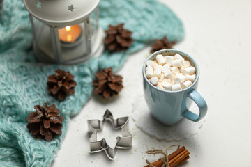 The concept of the New year and Christmas 2019. Cocoa with marshmallows. Plaid, burning candle. On a white background with snowflakes. Christmas trees, cones, cinnamon sticks. Decor. Postcard