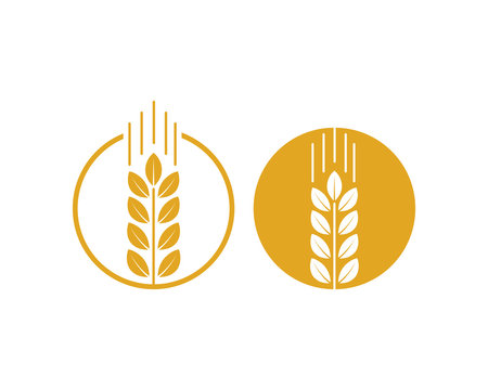 Vector Circle Growing Plant Agriculture wheat Grain Sign Symbol Icon Logo Template Design Inspiration