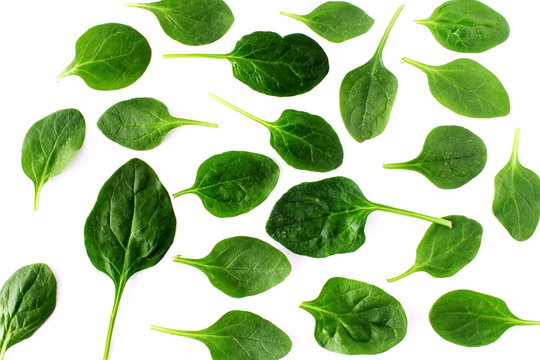 green spinach leaves isolated closeup on white background top view