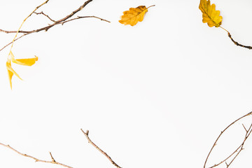 Autumn flat lay background on white
