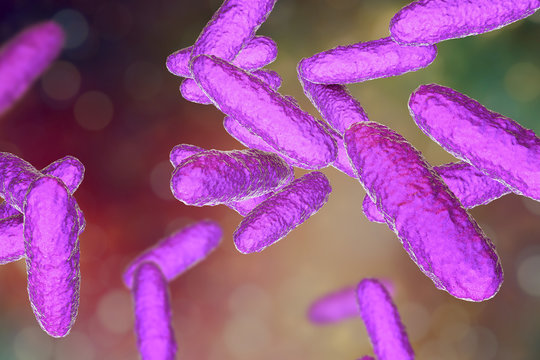 Bacteria Klebsiella granulomatis, the causative agent of sexually transmitted disease granuloma inguinale, 3D illustration
