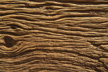 Old natural wooden background shows natural texture surface of the tree. Seen in close up view from the top in daylight. Teak is kind of this tree. Natural wooden background concept.