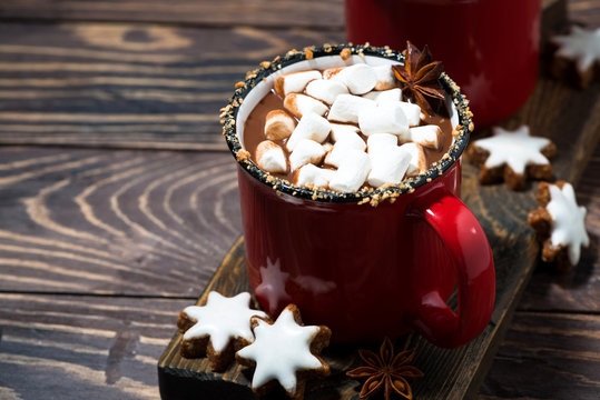 cozy winter drink hot chocolate with marshmallows