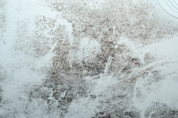 Ceiling mold is unsightly unhealthy