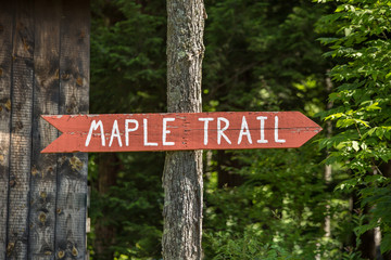 A wooden sign points  to the Maple Trail, New Hampshire, USA