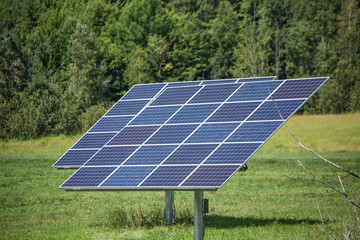 Solar panels in the field trees in background