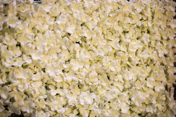 wedding flowers for decoration