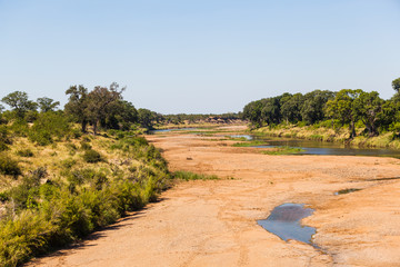 A mostly dry riverbed in the Kruger park, South Africa.