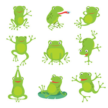Cute cartoon frogs. Green croaking toad on lotus leaves in pond. Vector animal characters set of amphibian toad drawing, green frog collection illustration