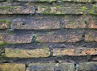 Pared