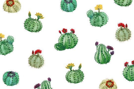 Watercolor Cactuses On White Background