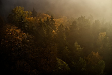 Early morning above the autumn forest