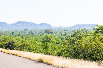 The open bush of the north Kruger park, South Africa.