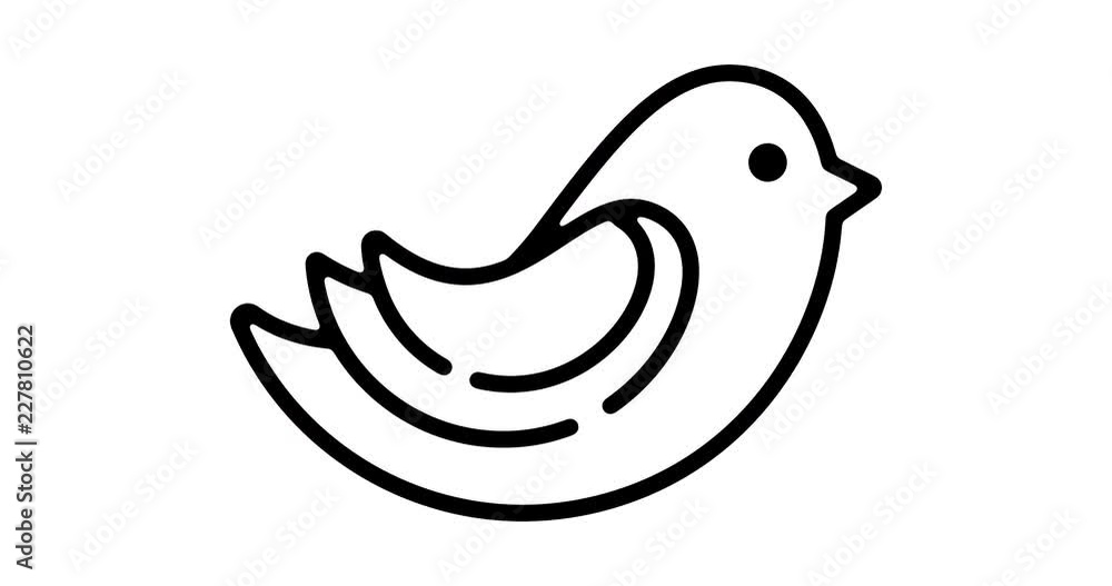 Poster bird line icon motion graphic animation with alpha channel.